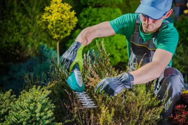 landscaping services Carencro
